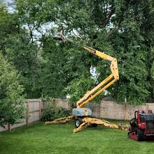 Best Tree Health Inspection  in Shiprock, NM
