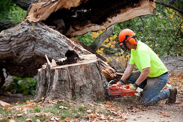 Best Aeration Services  in Shiprock, NM